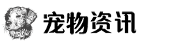 女武神-南京宠物网-资讯百科